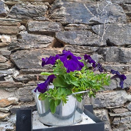 Apartamento Turistico Rural Casa Chain Lugo Dış mekan fotoğraf