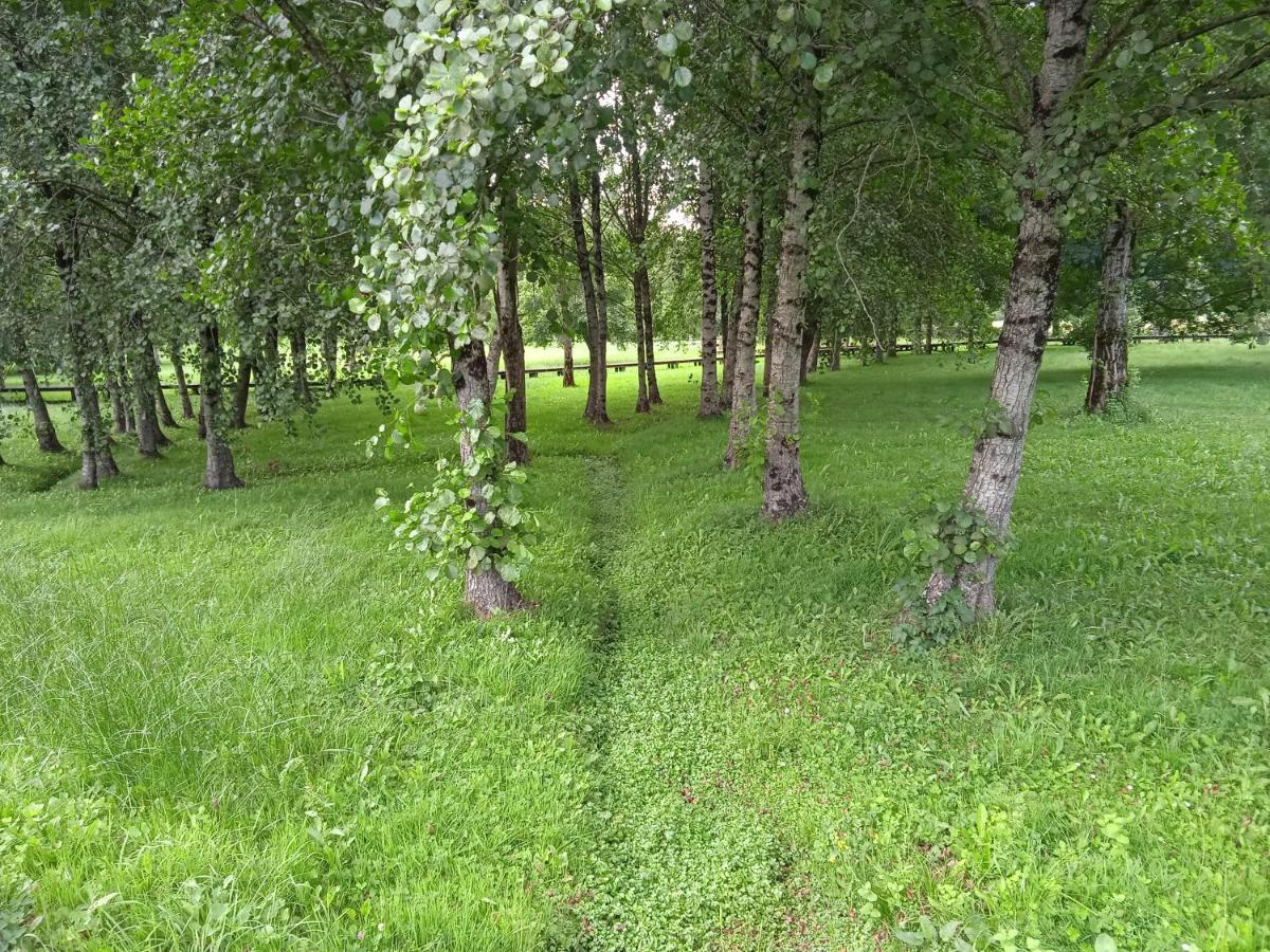 Apartamento Turistico Rural Casa Chain Lugo Dış mekan fotoğraf